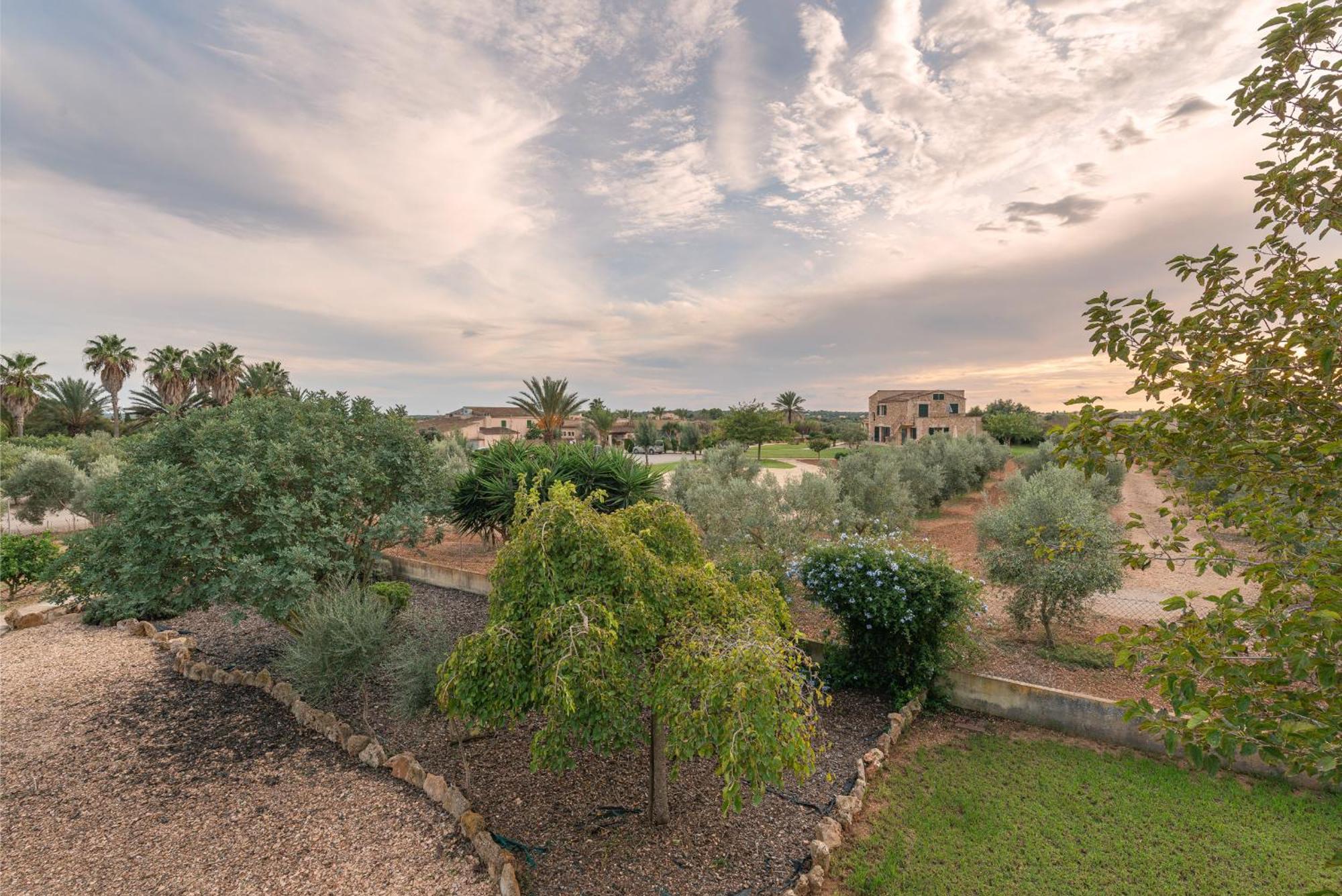 Finca Hotel Can Canals&Spa Campos  Esterno foto